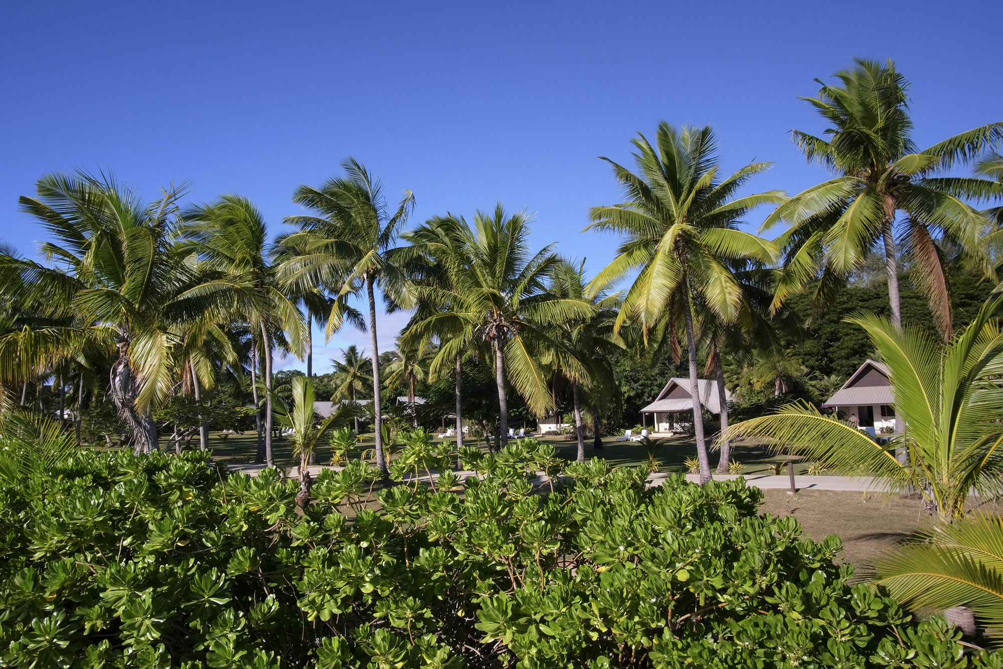 Musket Cove Island Resort Malololailai Exterior foto