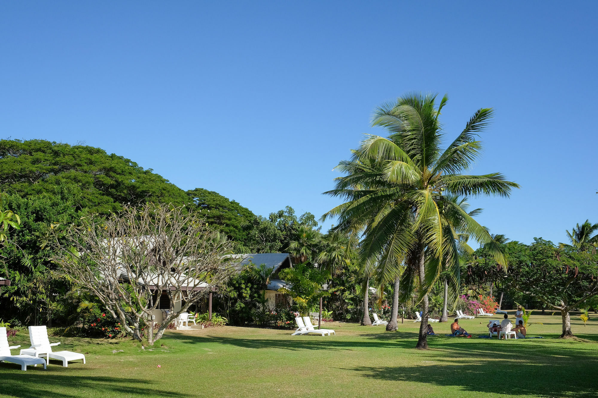 Musket Cove Island Resort Malololailai Exterior foto